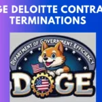 doge deloitte contract terminations