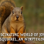 Joshua Crain Squirrel