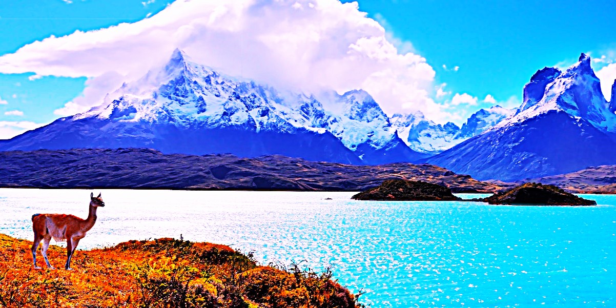 Patagonia